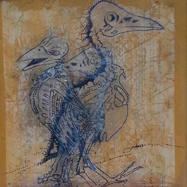 Anatomie du Corbeau 1