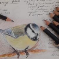 Dessin