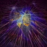 Rays of Healing