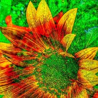 Sunflower Cornucopia