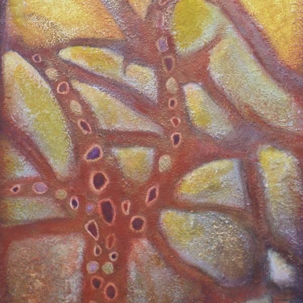 Natura Incognita
