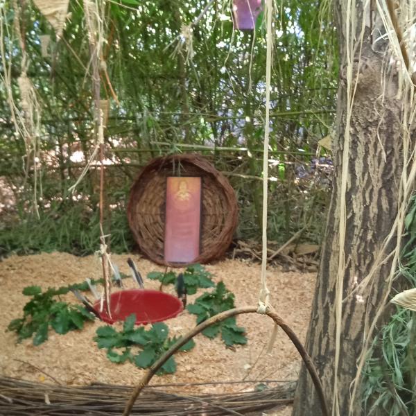 Copie de la série "Regard Intérieur" de 2011 pour le parcours de Branch'âge.