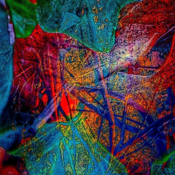 Blue Red