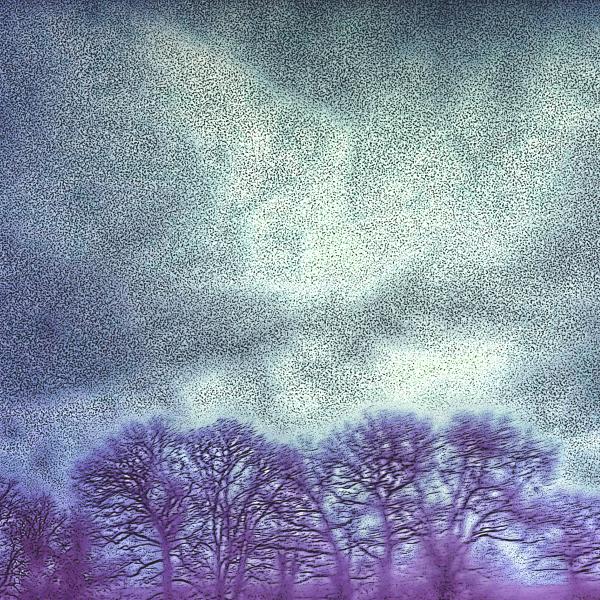 Spirit in the Sky