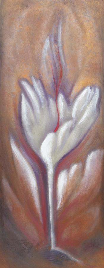 Natura Incognita