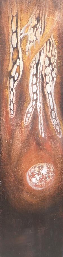Natura Incognita