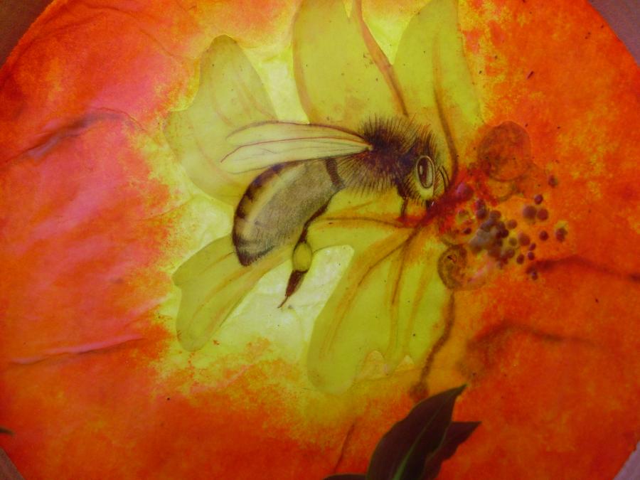 Bees 12