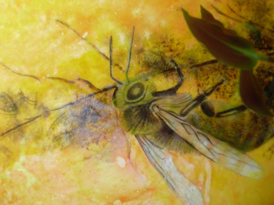 Bees 8