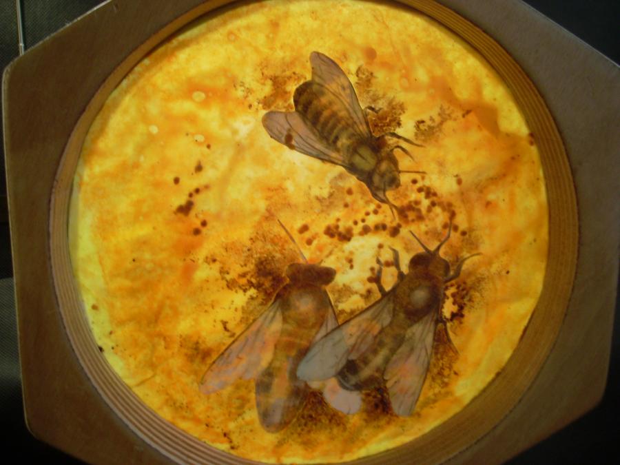 Bees 67
