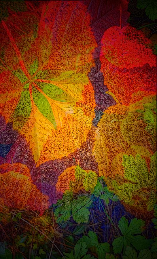 Autumn Dreaming