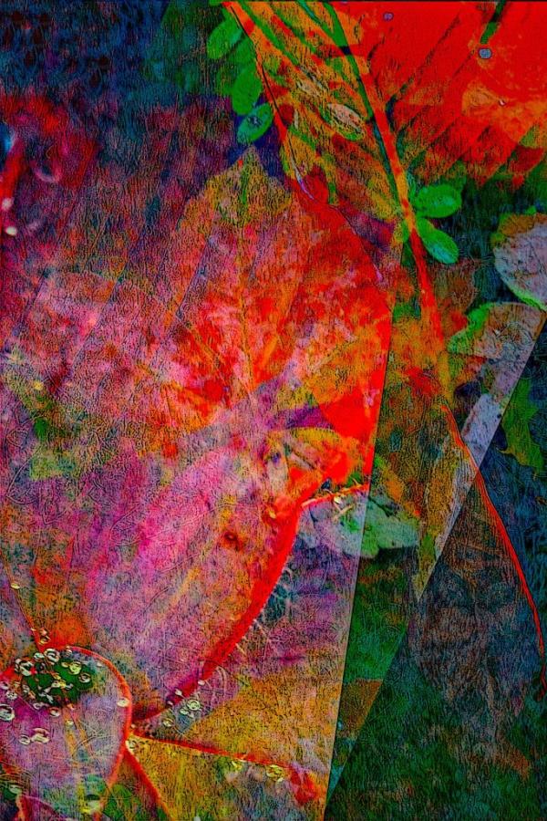 Layers of Mystery