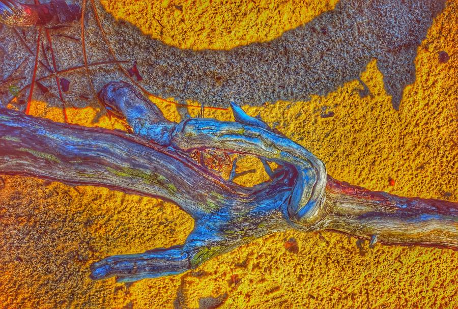 Shadow in the Sand