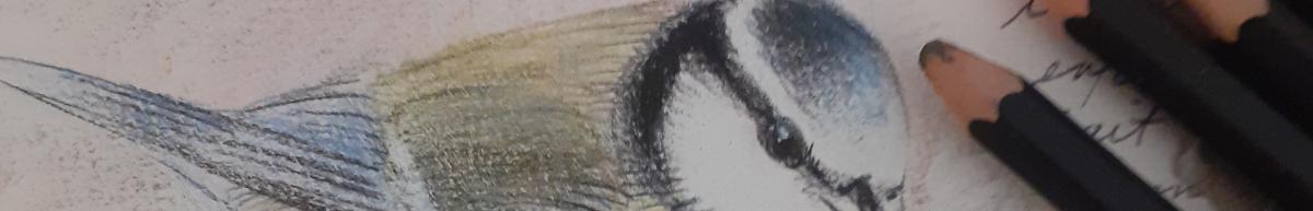 Dessin