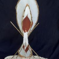 Cellulose Transformation 2