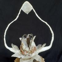 Cellulose Transformation 4