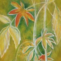 Natura Incognita 24