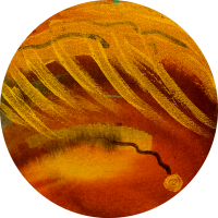 Terre