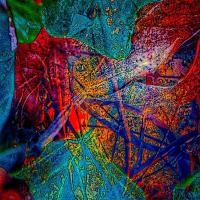Blue Red