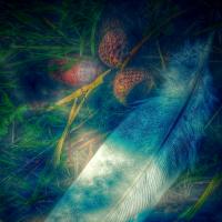Feather Magic