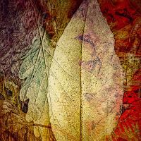 Fairy Presence