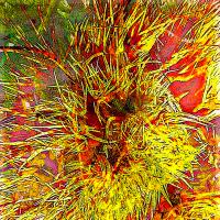 Prickly Explosion
