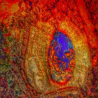 The Cosmic Egg