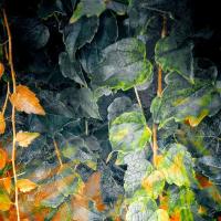 Vines of Verité