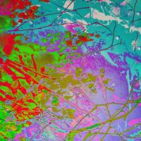 Weaving Colors