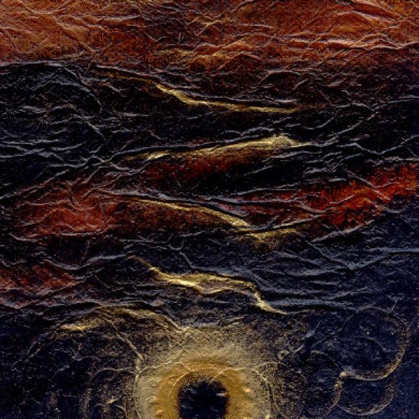 Darkening of the  Light