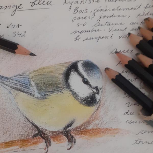 Dessin
