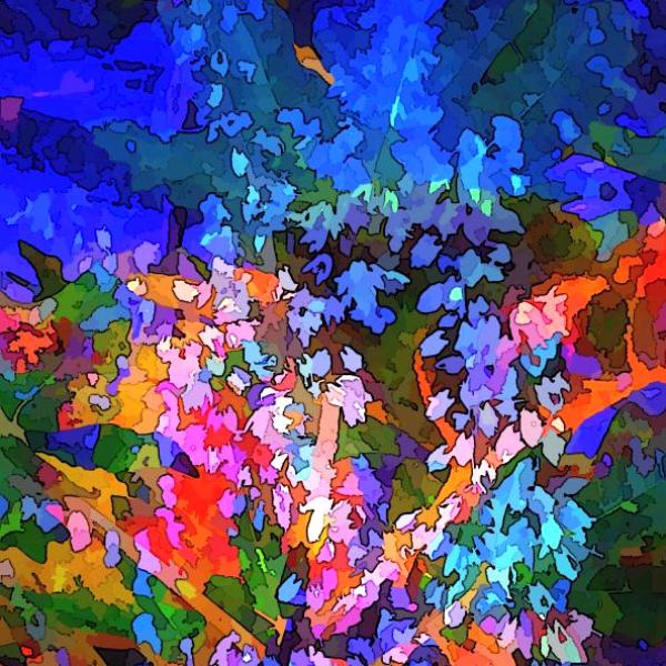 Color Impressions