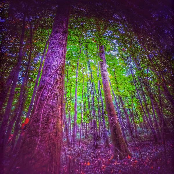 Darkness with Hope