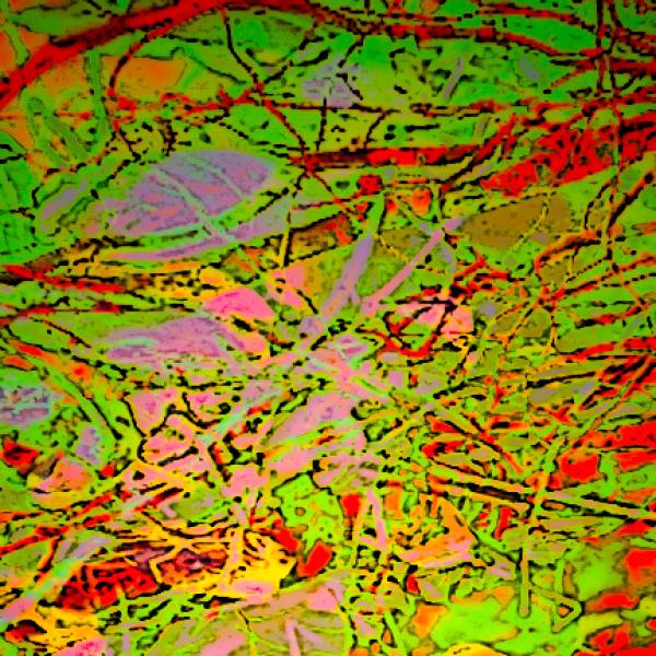 Fall Tapestry 2