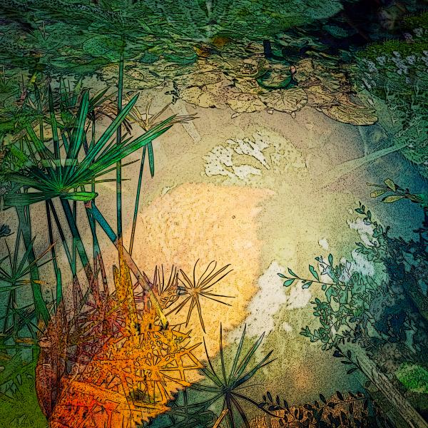Frog's Paradise