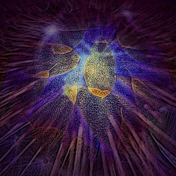 Rays of Healing