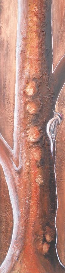 Natura Incognita