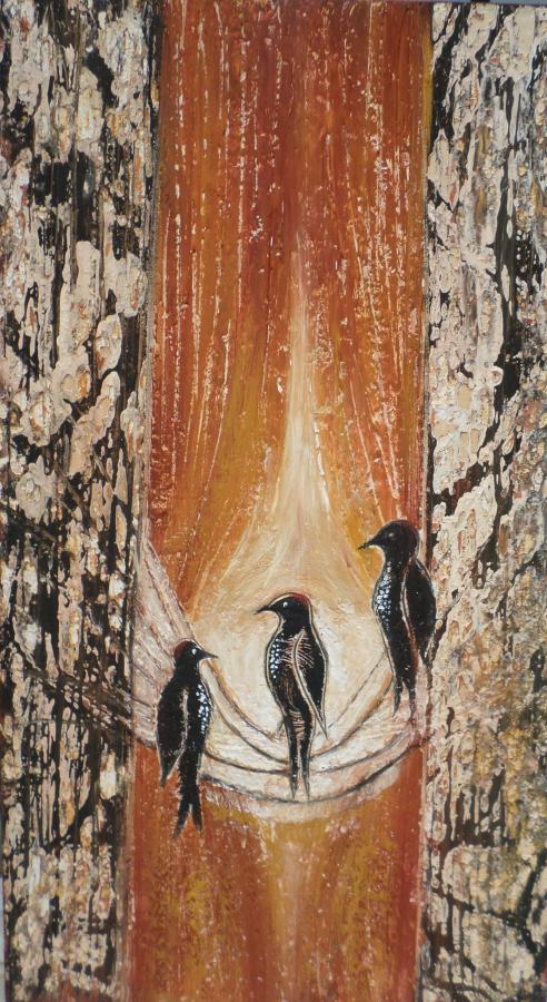 Natura Incognita