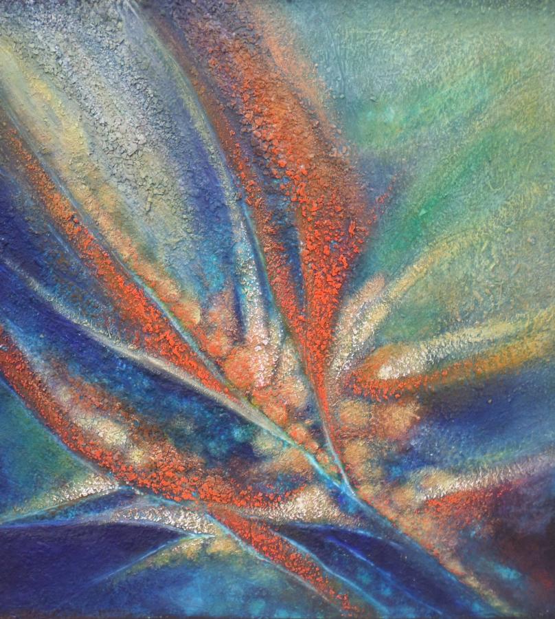 natura incognita 85