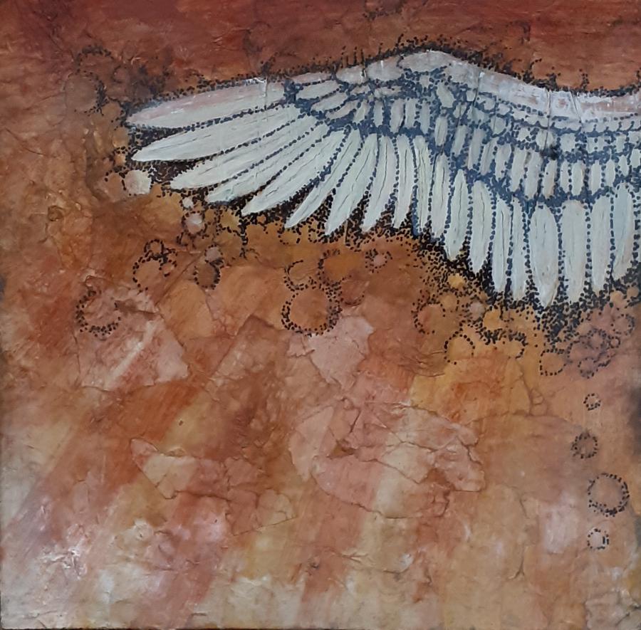 Anatomie du Corbeau 7