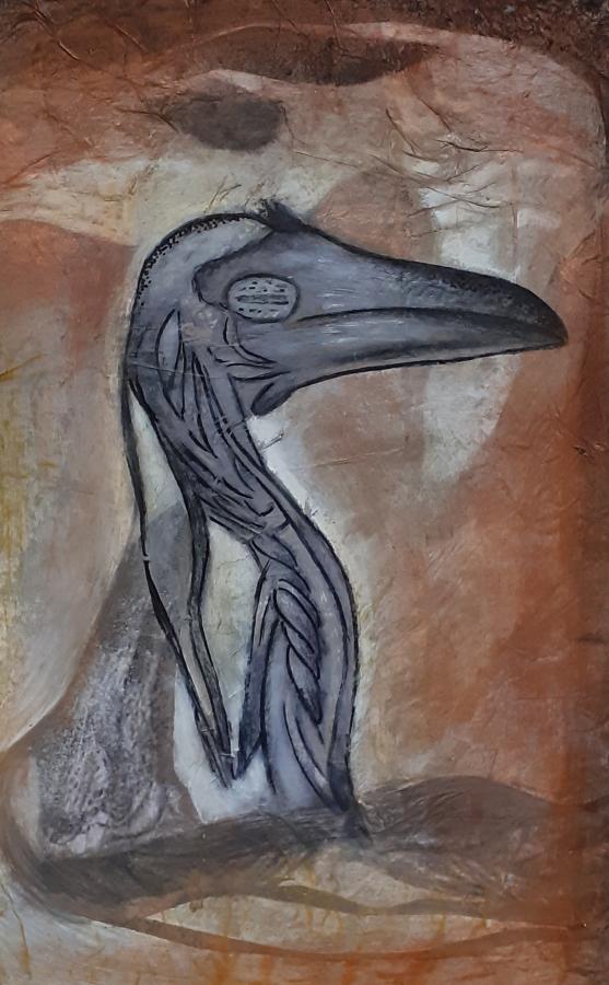 Anatomie du Corbeau 2