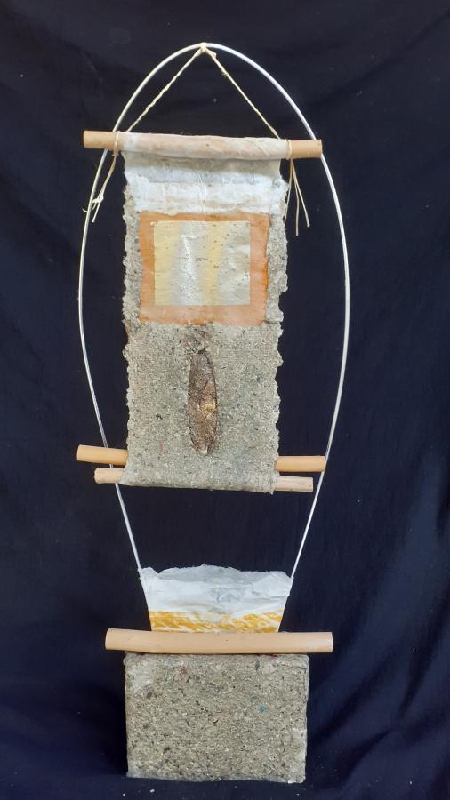 Cellulose Transformation 8