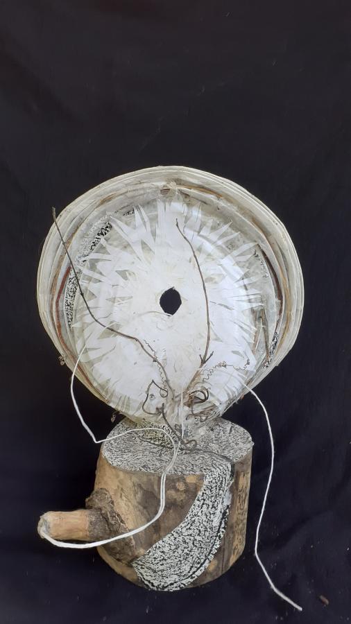 Cellulose Transformation 9