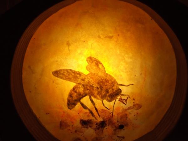 Bees 2