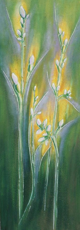 Natura Incognita 2