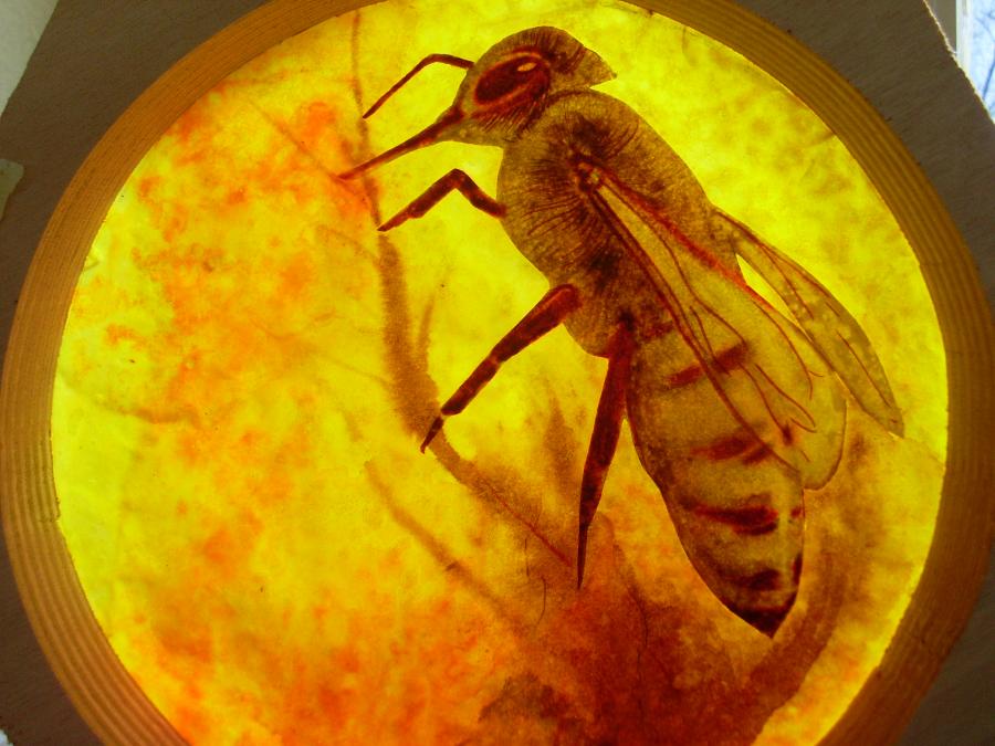 Bees 9