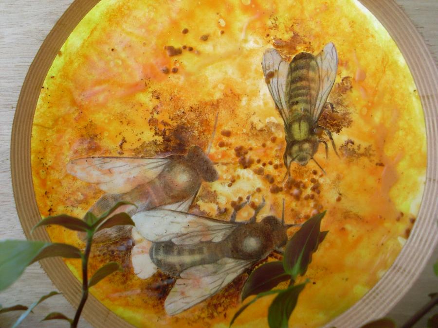 Bees 10
