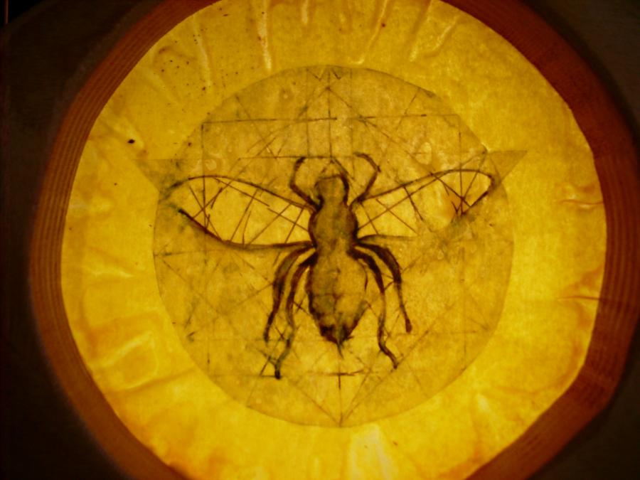 Bees 30