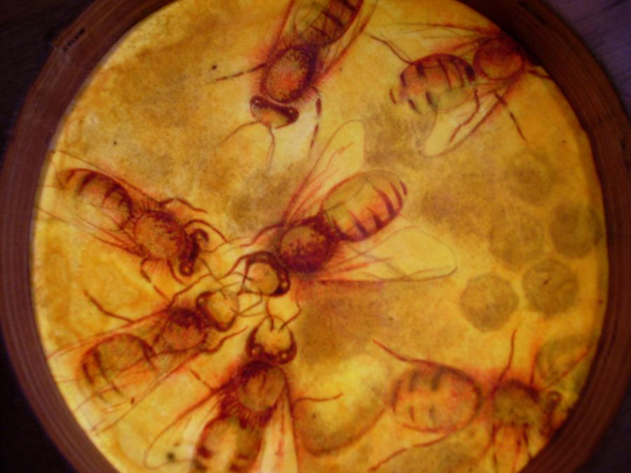 Bees 35