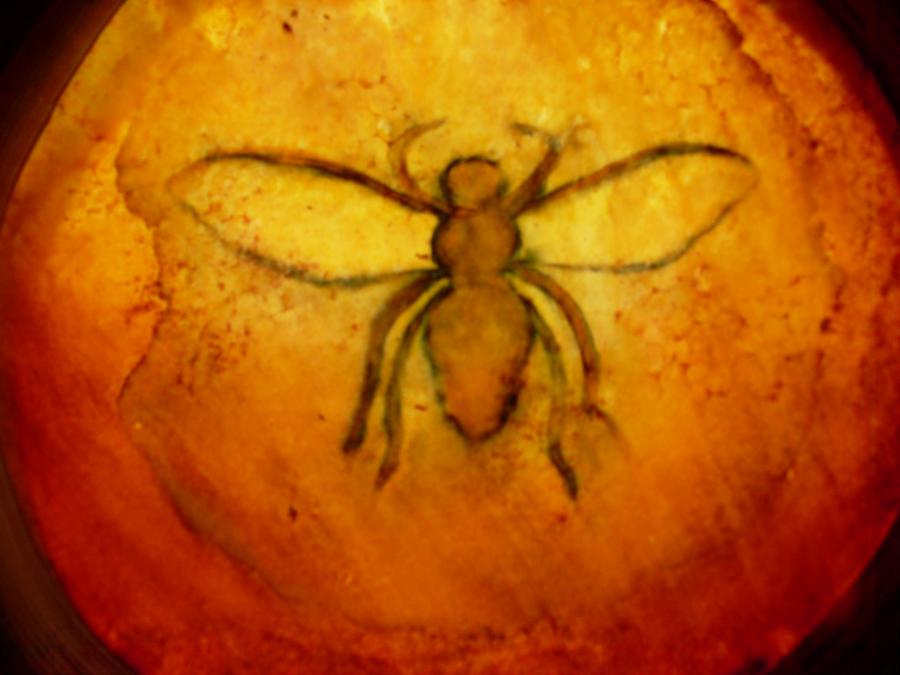 Bees 44