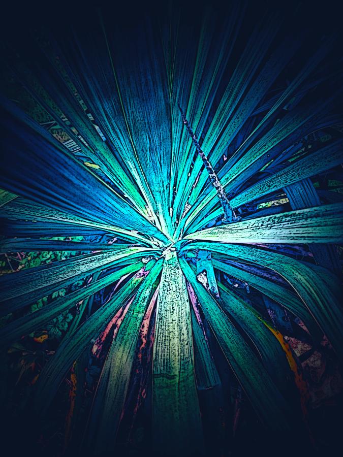 Blue Explosion